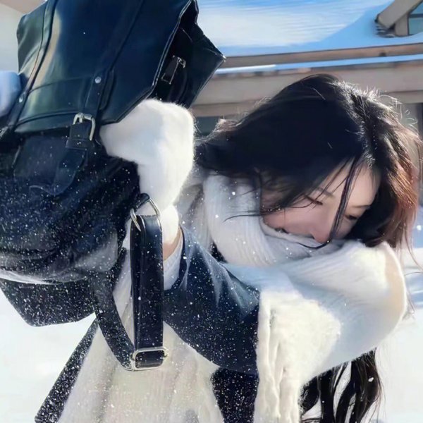 骄傲与偏见